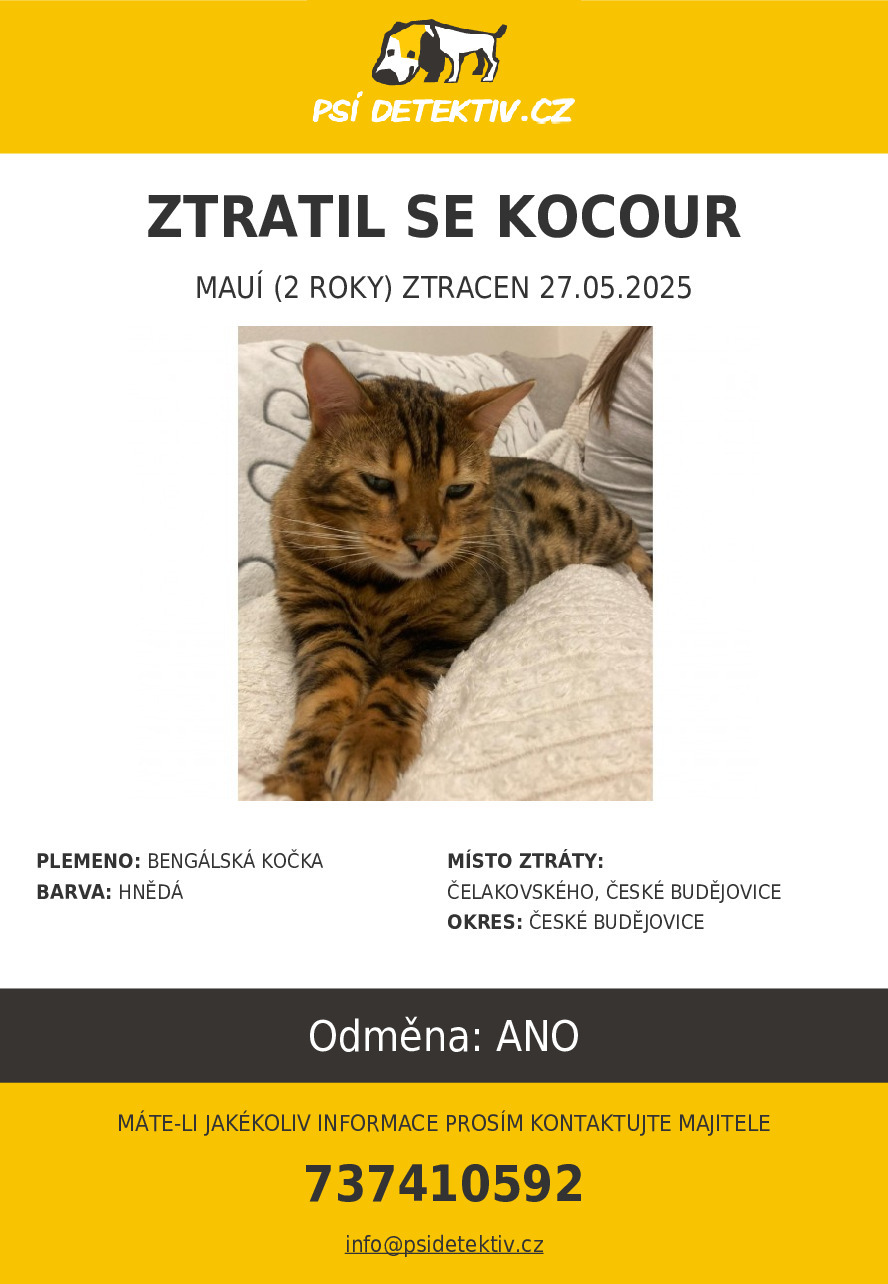 ZTRATIL SE KOCOUR MAUÍ (2 ROKY) ZTRACEN 27.05.2025 