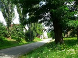 p1050200a-thmb.jpg